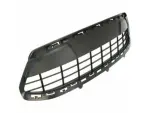 Bumper Grille - Ford (AE8Z-8200-CA) - view 14