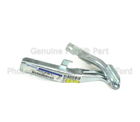 Hood Hinge - Ford (AG1Z-16796-A)