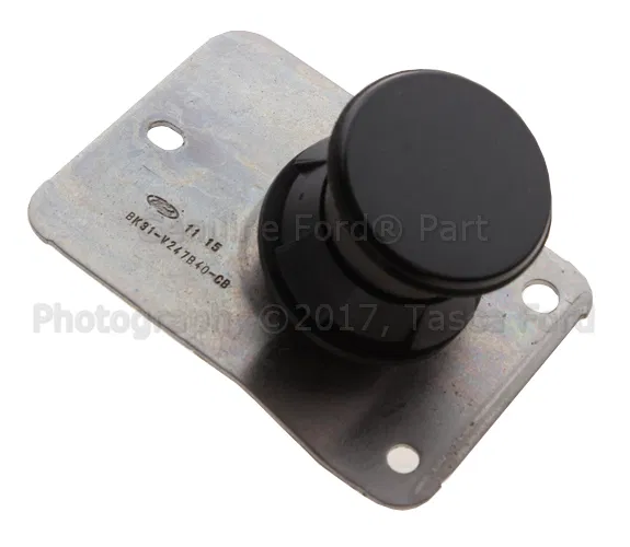 Bumper Outer Support - Ford (BK3Z-61247A64-C)