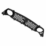 Grille - Ford (DR3Z-8200-CB) - view 19