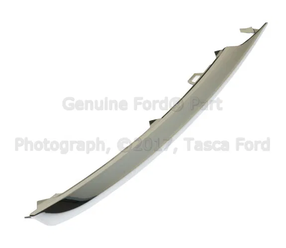 Molding - Passenger Side (RH) - Ford (EJ7Z-15266-AA)