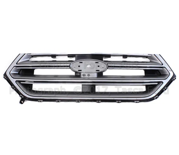 Grille - Ford (FT4Z-8200-CA) - view 8