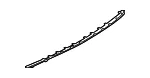 Valance Panel - Ford (FT4Z17K835AAPTM) - view 13