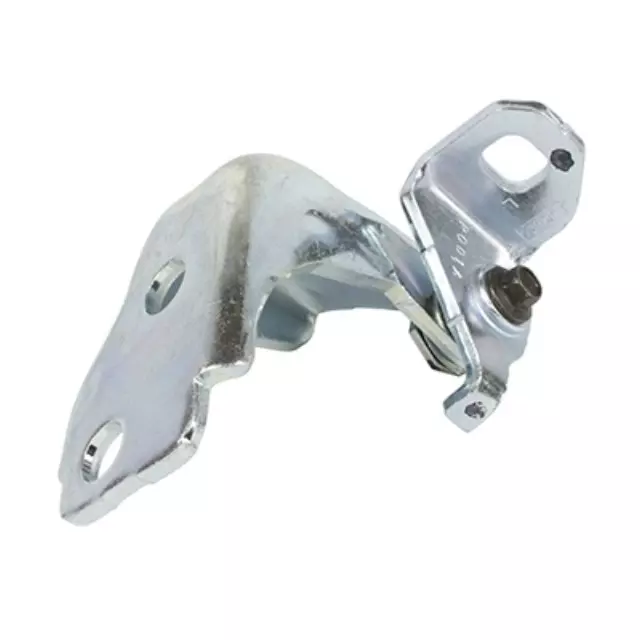 Door Hinge - Ford (FT4Z5822811B) - view 12