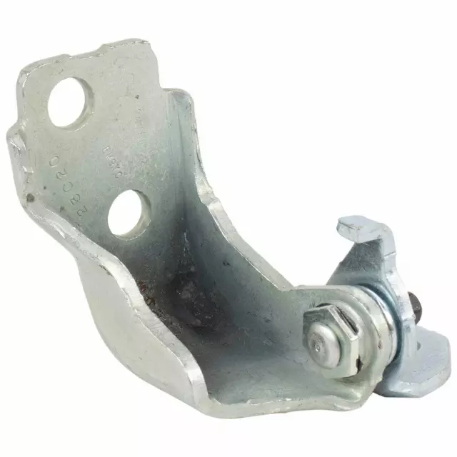 Door Hinge - Ford (FT4Z5822811B) - view 9