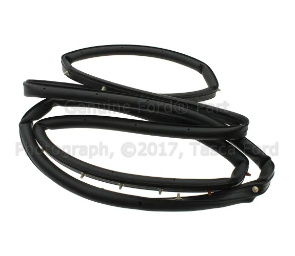 Door Weather-Strip - Passenger Side (RH) - Ford (GP5Z-5420530-A)