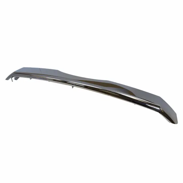 Grille Molding - Ford (bc3z8200d)