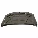Hood Panel - Ford (be5z16612a) - view 15