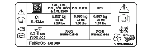 Engine Decal - Ford (dg9z1503050a) - view 3