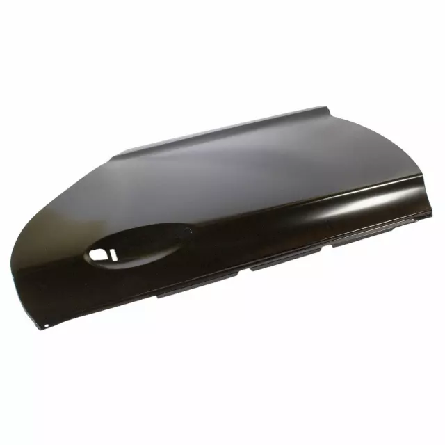 Panel Assembly Door Outer - Ford (dp5z5424701a) - view 2