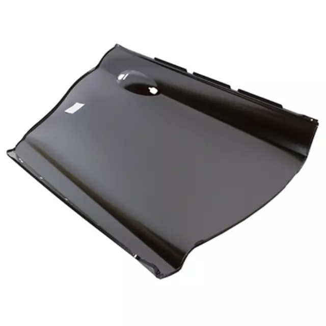 Panel Assembly Door Outer - Ford (dp5z5424701a) - view 3