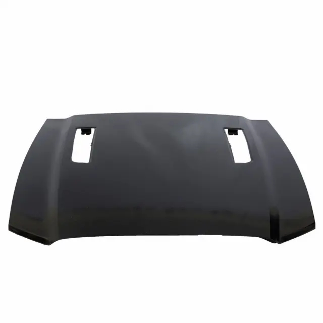 Hood Panel - Ford (dr3z16612a)