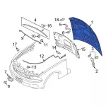 Hood Panel - Ford (dr3z16612a) - view 13