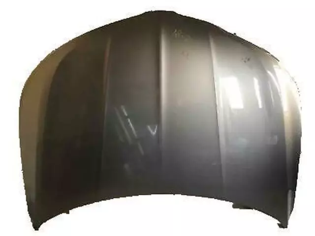 Hood Assembly - Ford (fa1z16612a)