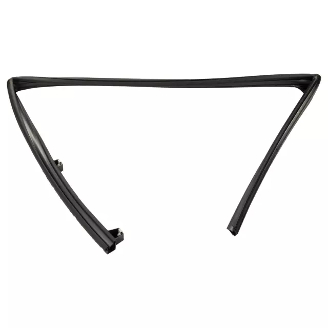 Window Channel - Ford (fl3z1521597e) - view 17