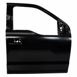 Door Shell - Ford (fl3z1620124c) - view 15