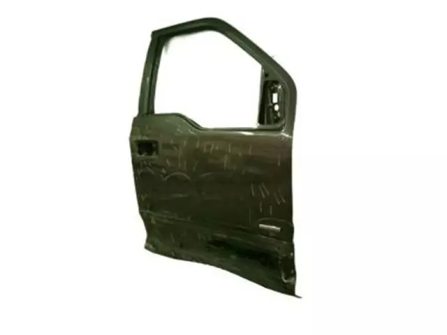 Door Shell - Ford (fl3z1620124c) - view 2