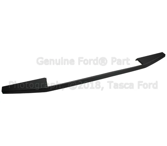 Tail Gate Molding - Ford (fl3z9941018ac)