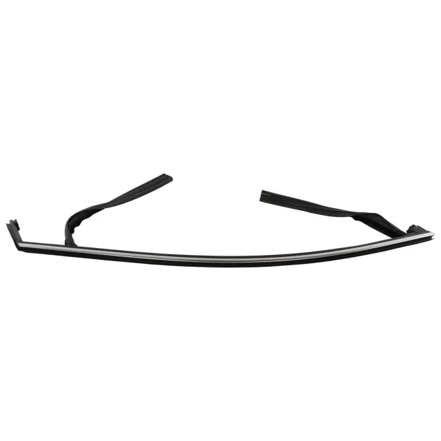Window Channel - Ford (ft4z5821596d)