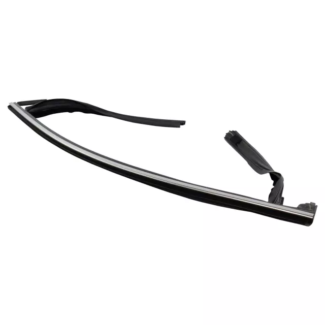 Window Channel - Ford (ft4z5821596d) - view 3