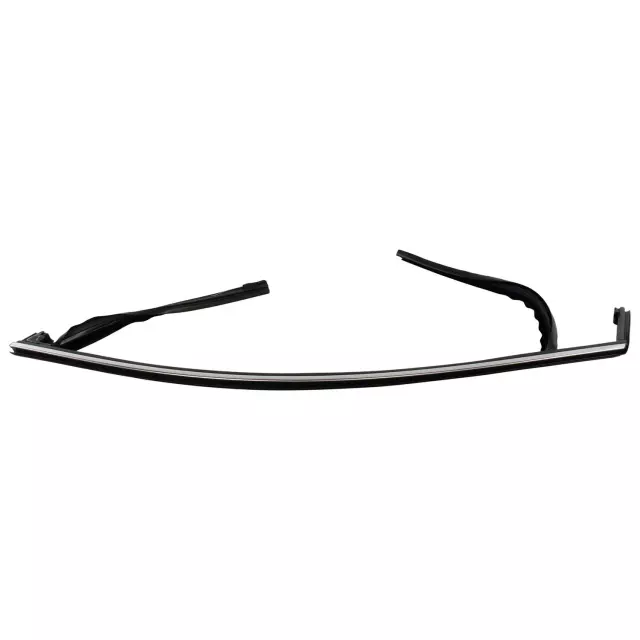Window Channel - Ford (ft4z5821597h)