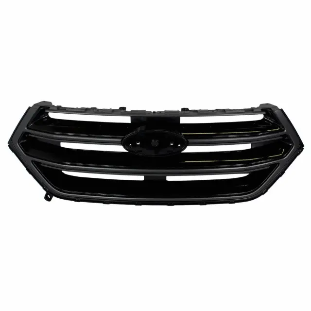 Grille - Ford (ft4z8200ba) - view 6