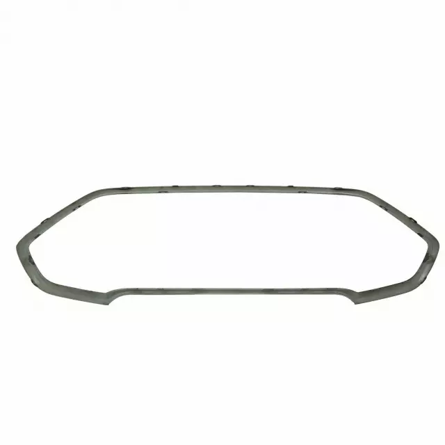 Grille Surround - Ford (gn1z8419ea) - view 12