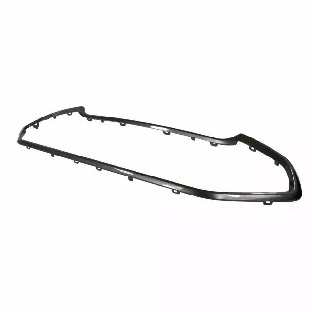 Grille Surround - Ford (gn1z8419ea) - view 4