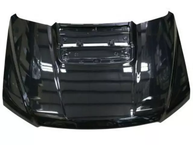 Hood Panel - Ford (hl3z16612a)