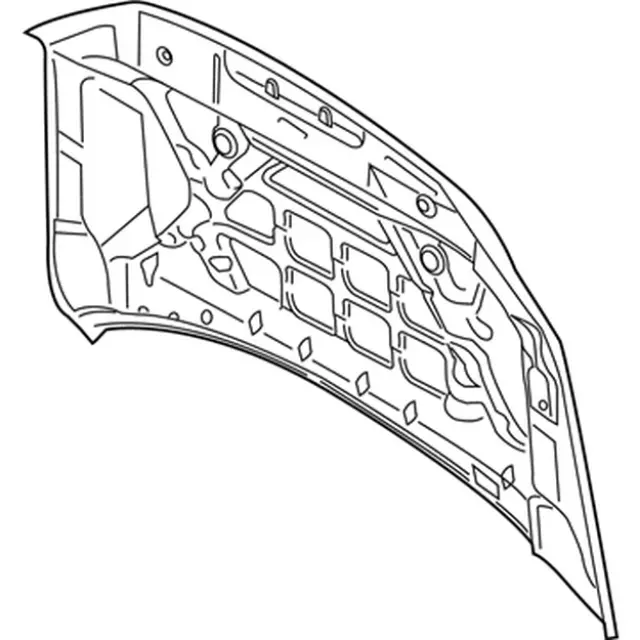 Hood Panel - Ford (hl3z16612a) - view 2