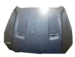 Hood Panel - Ford (jr3z16612a) - view 24
