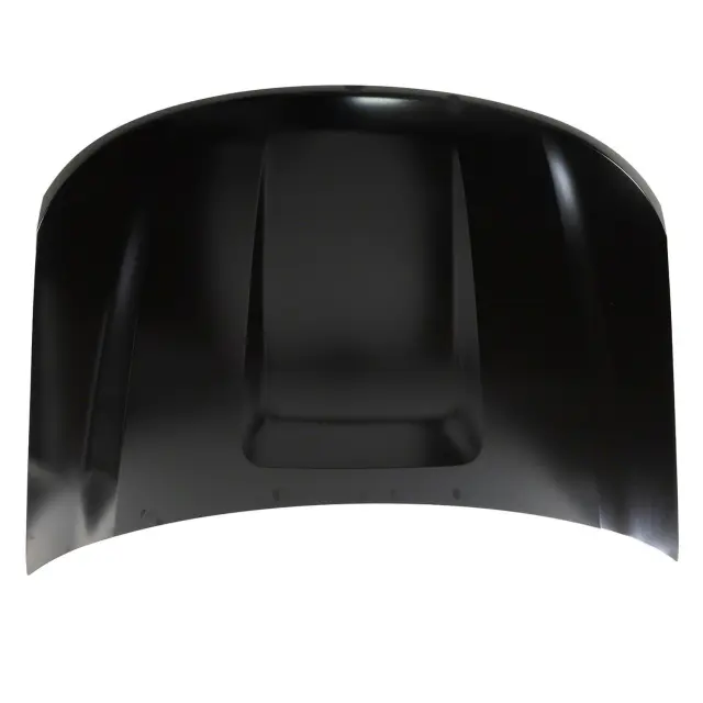 Hood Panel - Ford (lb5z16612a)