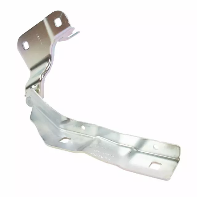 Hood Hinge - Ford (lb5z16796a)
