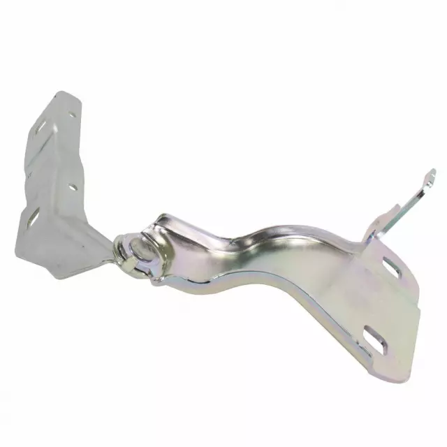 Hood Hinge - Ford (lb5z16796a) - view 11