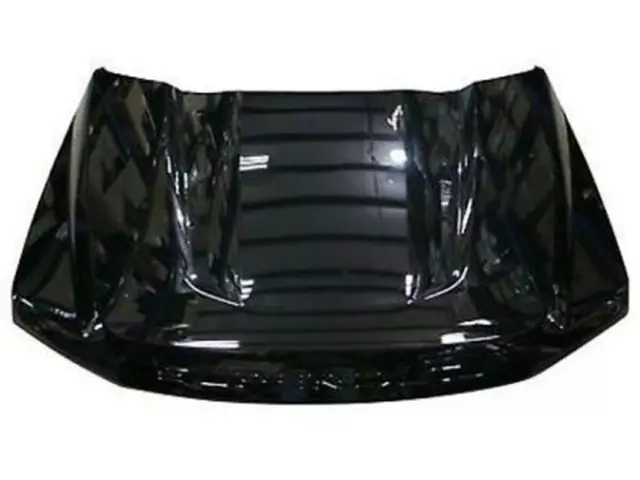 Hood Panel - Ford (lc3z16612c)