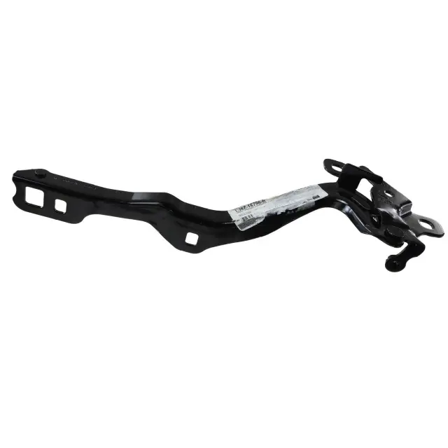 Hood Hinge - Ford (lj8z16796b)