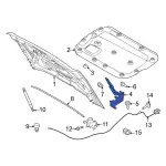 Hood Hinge - Ford (n2dz16796a) - view 8