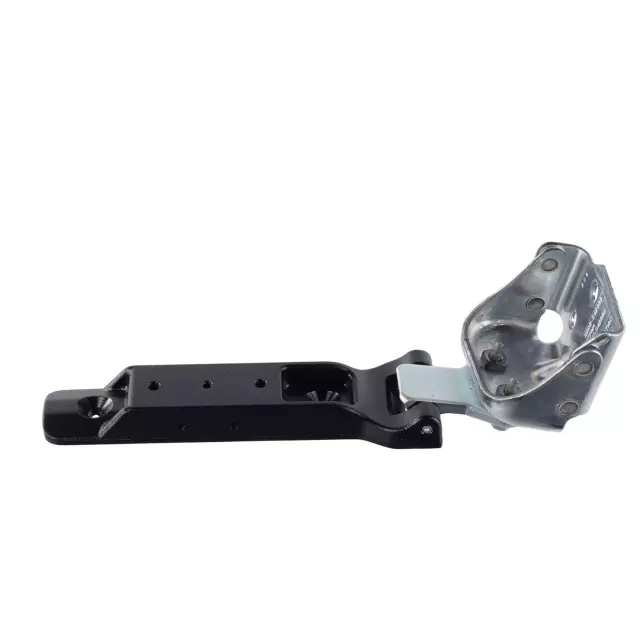 Door Hinge - Ford (n2dz7826800a)