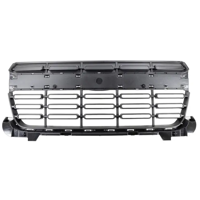 Grille Assembly - Ford (nz6z8200ca)